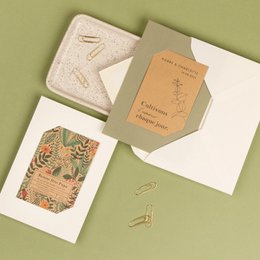 Carta di supporto - Verde oliva e avorio