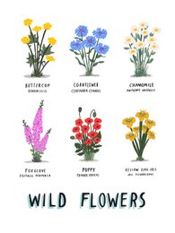 Wilde bloemen print