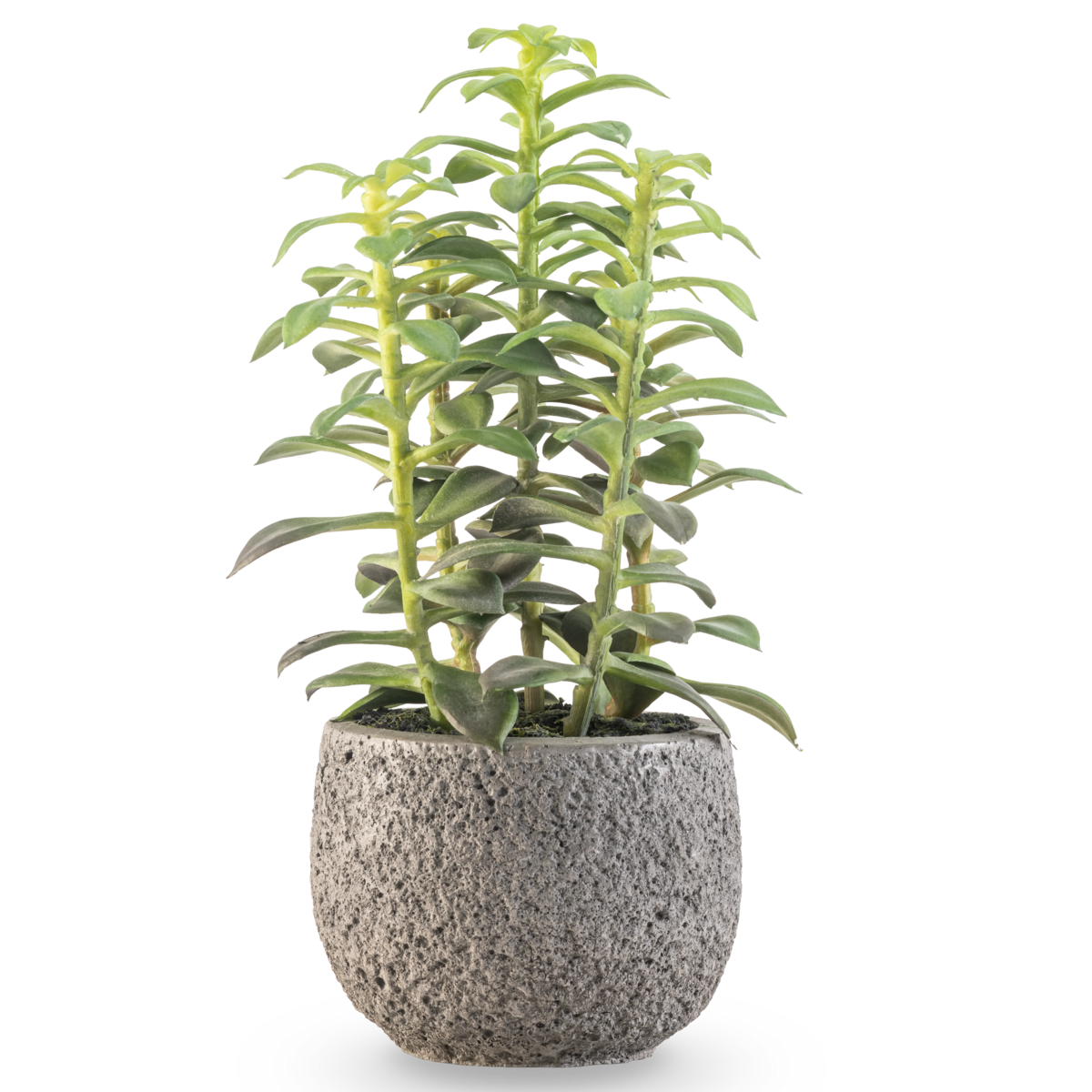 Artificial succulent plant in decorative pot 25 cm