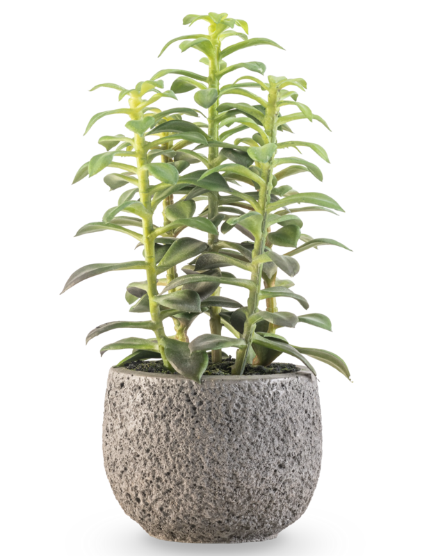 Kunst vetplant in sierpot 25 cm
