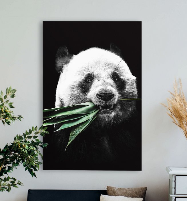 Dark Panda 2