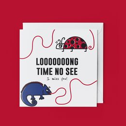 Greeting card with whimsical ladybug and cat design, text reads "LOOOOOOONG TIME NO SEE"