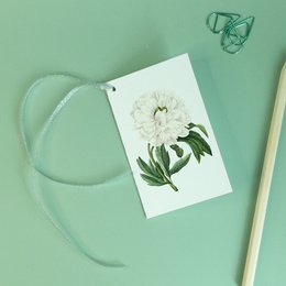 Geschenkanhänger Mix x8 Pack - Botanical Vintage