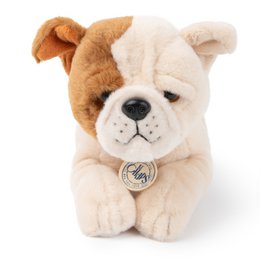 BTC - Bertha the American Bulldog in gift box - 20 cm -