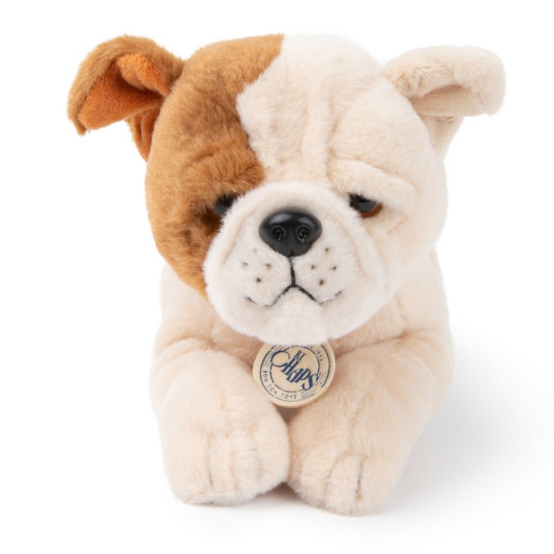 BTC - Bertha the American Bulldog in gift box - 20 cm -