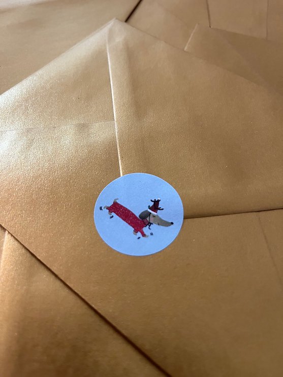 Christmas:  Flying Home For Christmas | Roze-paars