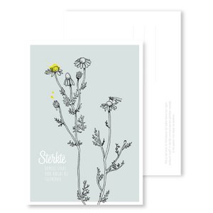 Ansichtkaart Sterkte