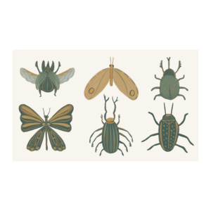Forest bugs - Wall stickers for children's room