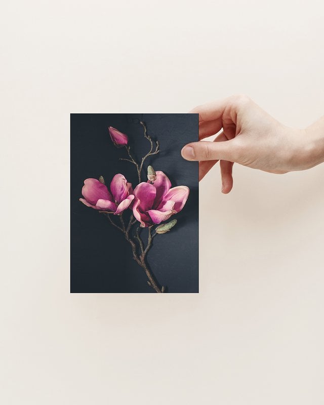 Pocztówka Kartka Z Pozdrowieniami Ciemna Magnolia (PK_062)