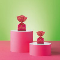 Tartufo Pistachio & Raspberry 1KG