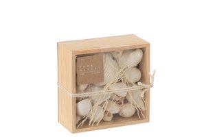 J-Line Doos Vierkant Schelpen Wit 