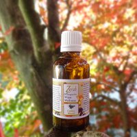 Wipe Wellness – Changing Oil (Nachfüllung Bliss) 55 ml