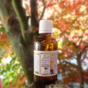 Wipe Wellness – Changing Oil (Nachfüllung Bliss) 55 ml