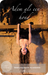 Unik julegave - Mind-Body Toolkit, coach- og inspirationskort, yoga- og meditationsdæk