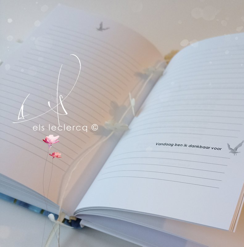 DAGBOEK BE YOU - dagboek van een sterke vrouw