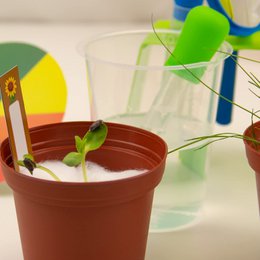 Science4you - Peppa Pig Science Kit til børn 4+