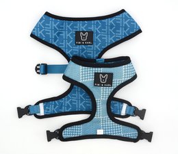 A 2-in-1 dog harness in the FK Summer Edition, available in sizes L, S, M, XS, and XL, and colors beige, purple, and silver. The harness features a stylish geometric pattern and is designed for pet comfort and safety.