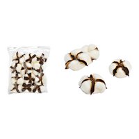 Baumwoll Dolden Set aus Naturmaterial Natur 12er Set, Ø5cm