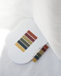 Mystic Autumn | Ordinate Farbverlauf Morandi Sticky Notes | Index Sticky Notes mit Lineal | Seitenmarkierer | Sticky Tabs | Büro Studium Schulplaner | Markierung Sticker