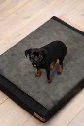 Matelas orthopédique imperméable "Ori" avec revêtement souple