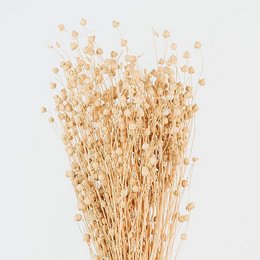 A dried flower bouquet made up of various beige and tan dried flowers and stems.