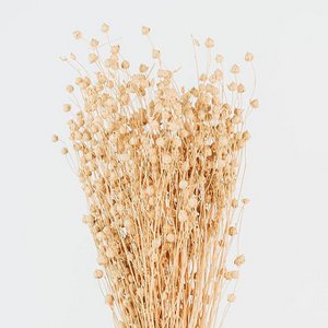 Linum gedroogde bloemen boeket
