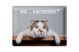  Gray tin sign with funny cat face, German text "Wif Kastrieren", decorative wall art, humorous pet humor sign.