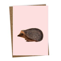 A greeting card featuring a hedgehog illustration on a pink background.