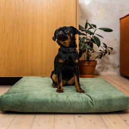 Madras "Soft" til en hund og en kat - genbrugt
