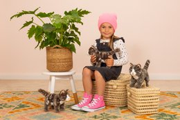 Kattestående grå tabby 20 cm - plyslegetøj - blødt stykke legetøj