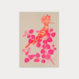  Postcard with a vibrant hoopoe bird design printed on eco-friendly paper.