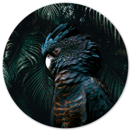 "A round wall decor featuring a close-up image of a colorful cockatoo bird against a dark, lush foliage background. The product is available in various sizes and materials, including Forex and Dibond."