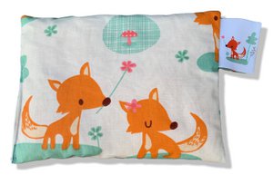 DEnnenKUSSEN lieve vossen