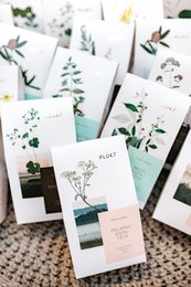 Achillea Tè - tè sfuso