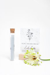 Forget-me-not seeds in growing paper, a unique gift to enjoy every moment of happiness.