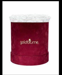 Velvet Bordeaux Collection