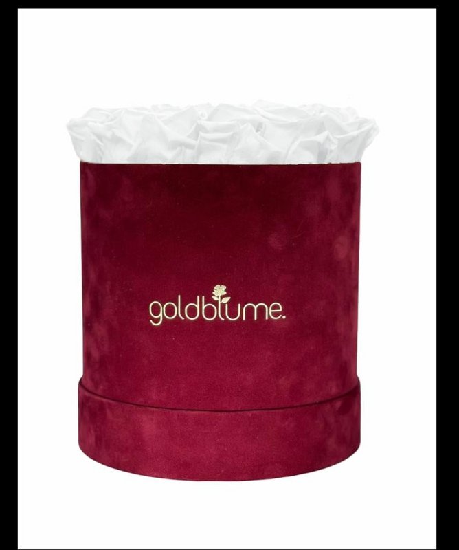 Velvet Bordeaux Collection