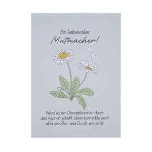 Daisy seeds - a loving encouragement!