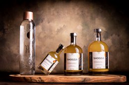 SHOGGA (200 ml) – Bevanda allo zenzero premium biologica e francese!