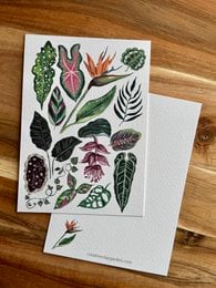 Postcard featuring a variety of colorful houseplants, including tropical leaves, flowers, and foliage. The image showcases the diverse shapes, textures, and patterns found in common houseplants.