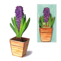 3D flower card hyacinth