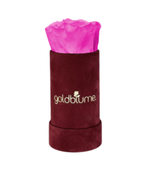 Velvet Bordeaux Collection