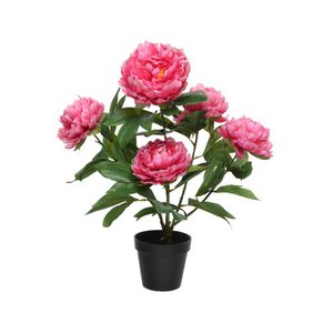 Artificial plant Peony h57cm fuchsia