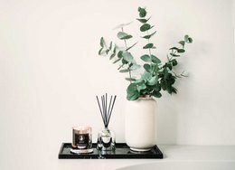 Difusores y Sticks - Lichi y Grosella
