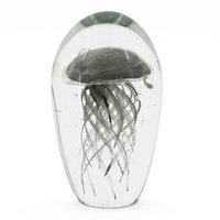Jellyfish in glass