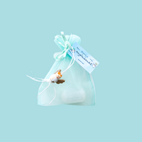 Knuffelsteen engelenkracht- Seleniet