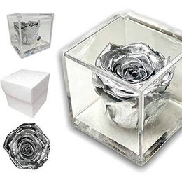A preserved silver rose in a clear glass cube container. The rose appears to be a single large bloom with a metallic silver color. The container has a simple, minimalist design.