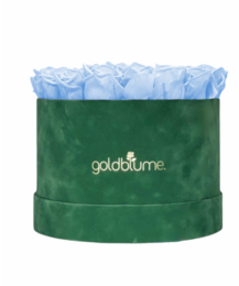 Colección Terciopelo Verde