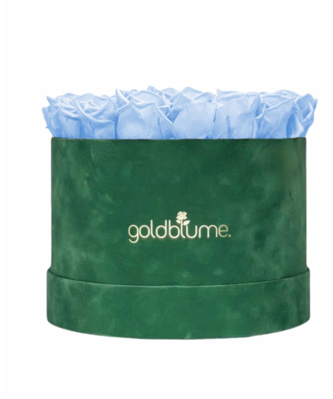 Colección Terciopelo Verde