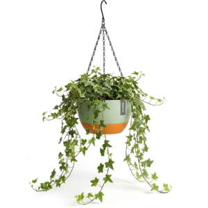 Hängetopf mit Drainage - Grün - Auch als Blumentopf geeignet - Für drinnen und draußen - Wasserreservoir